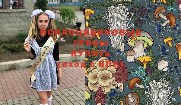 мет Новодвинск