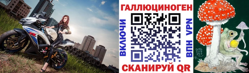 hydra сайт  где купить наркоту  Ангарск  Псилоцибиновые грибы ЛСД 