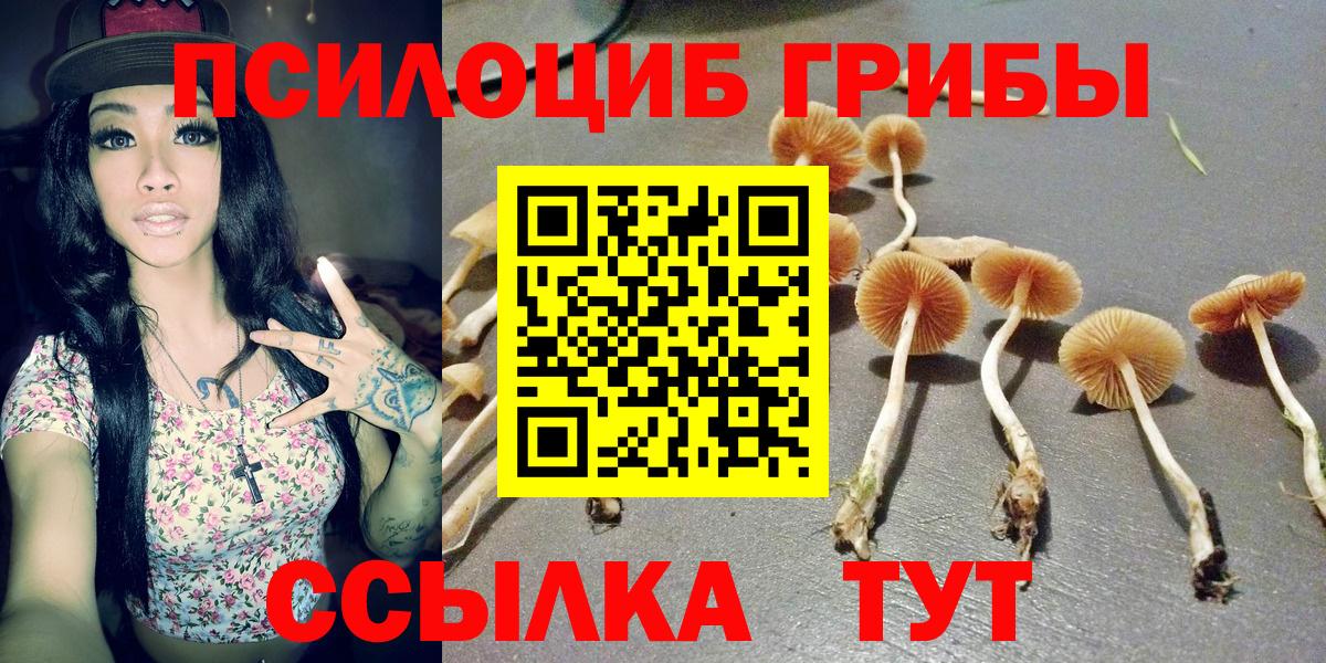 Псилоцибиновые грибы GOLDEN TEACHER  Вход с VPN  Ангарск 